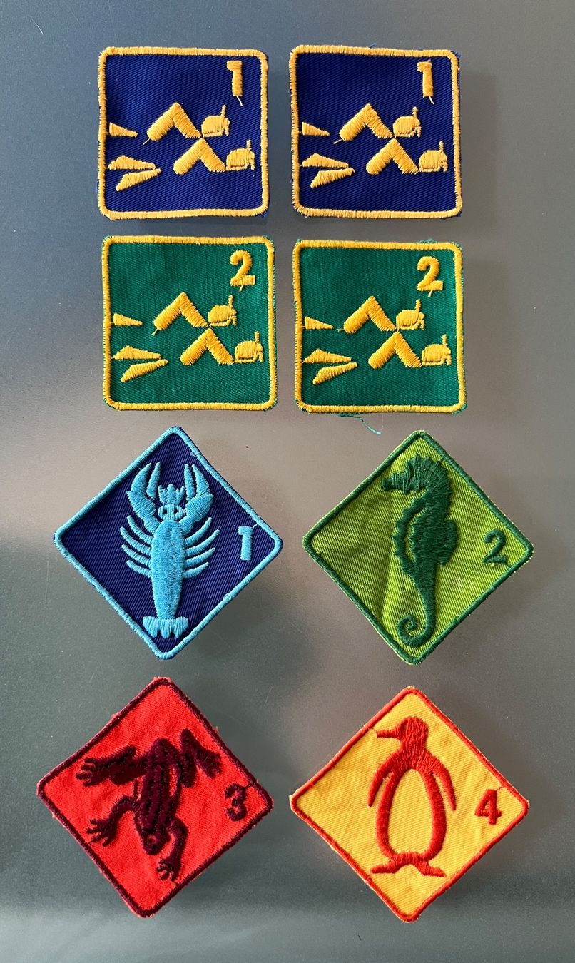 Swiss Plaquettes & Badges: Schwimmabzeichen + Tauchabzeichen – D'occasion à Brunnen par Bonitoman