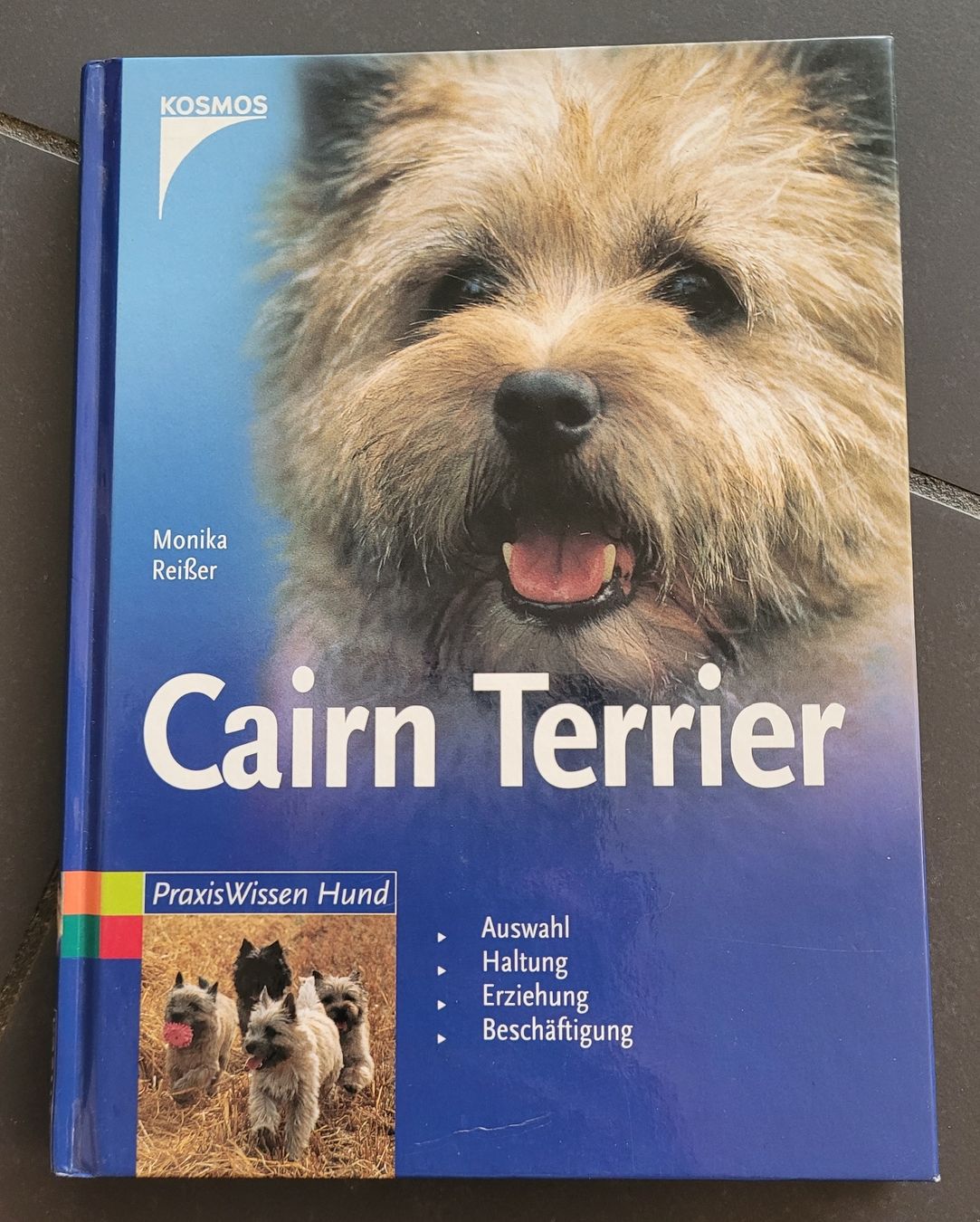 Libri: Buch Cairn Terrier  – Usato da Kappel SO venduto da Matschi86