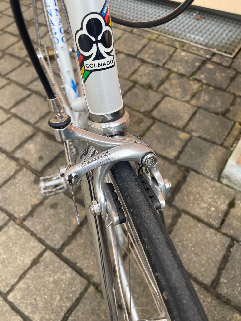Colnago Biciclette: Colnago Rennrad Campagnolo – Usato da Dietikon venduto da sorry.7000 6