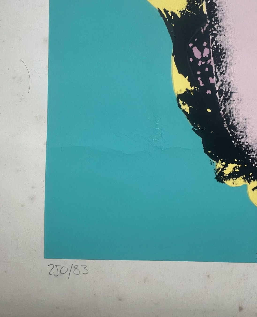 Grafica & Litografie: Andy Warhol, Siebdruck – Usato da Rain venduto da Pic-Ass 2