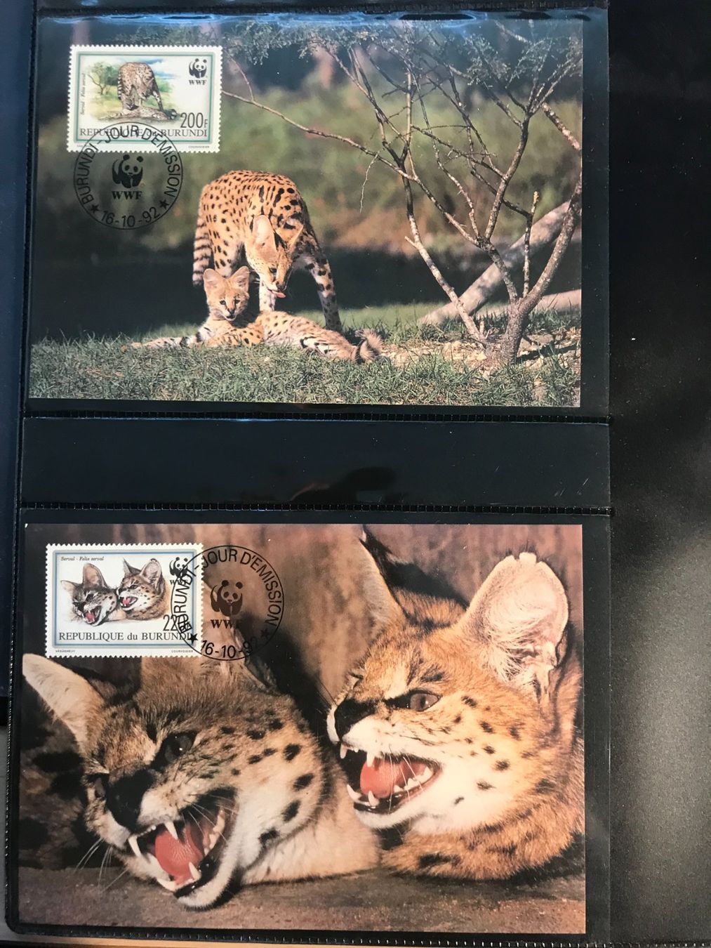Tutti i francobolli: WWF Burundi 1992 Serval Satz Maximumkarten – Nuovo (secondo la descrizione) da Liestal venduto da schnueps