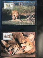 WWF Burundi 1992 Serval Satz Maximumkarten
