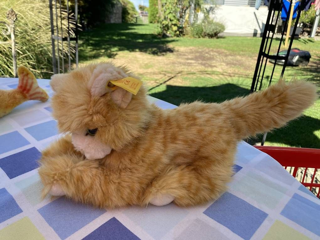Giocattoli: Steiff Katze Kuschel – Usato da Kesswil venduto da Branca-01 4