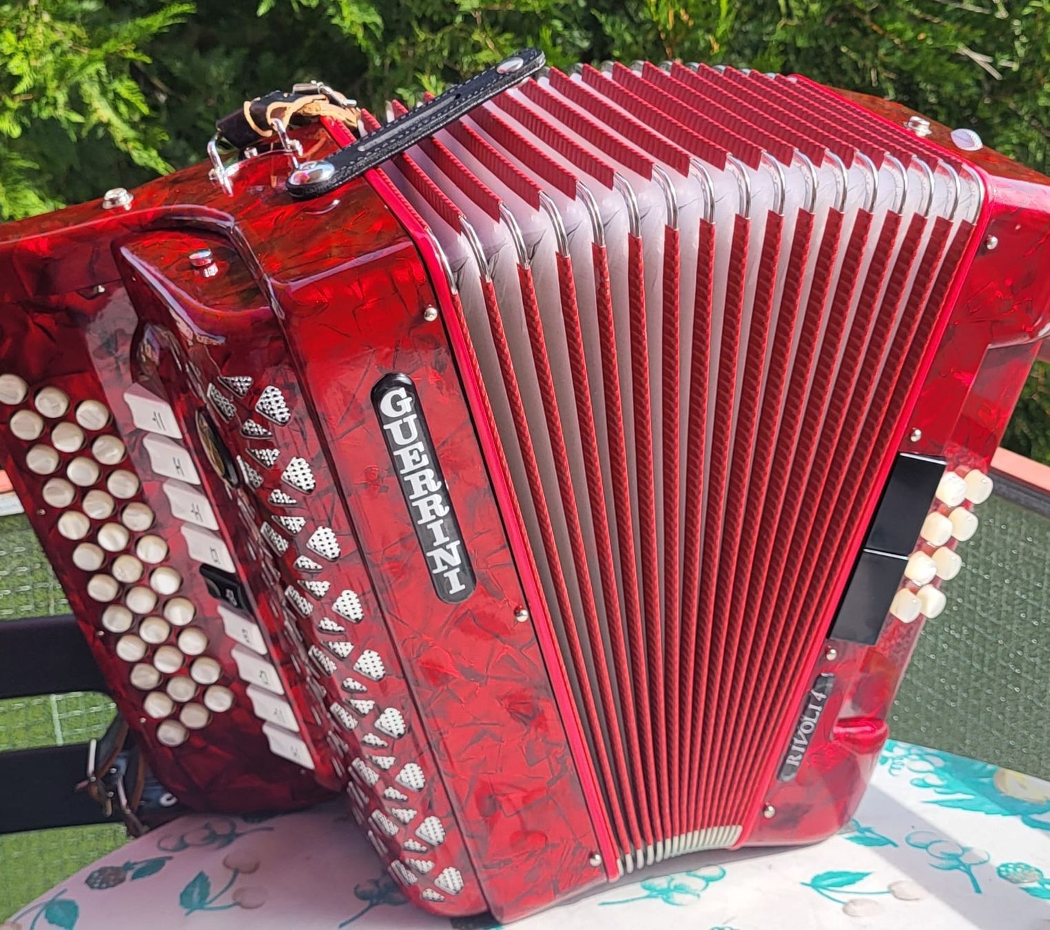 Strumenti musicali: Accordéon diatonique Guerrini 4 voix – Usato da Penthalaz venduto da EvandroLuz 3