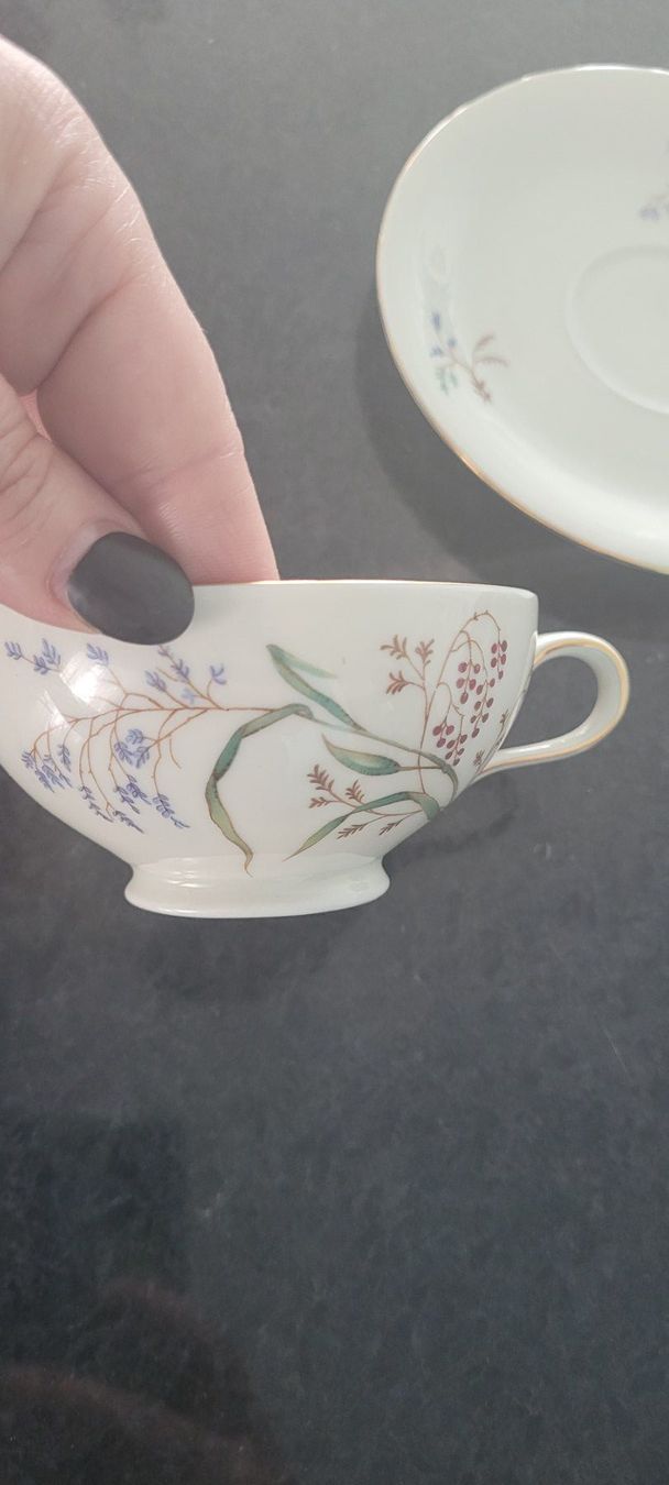 Eschenbach Geschirrsets: Eschenbach Bavaria Goldrand Tasse – Gebraucht aus SCHÜBELBACH von CoKaHa 1