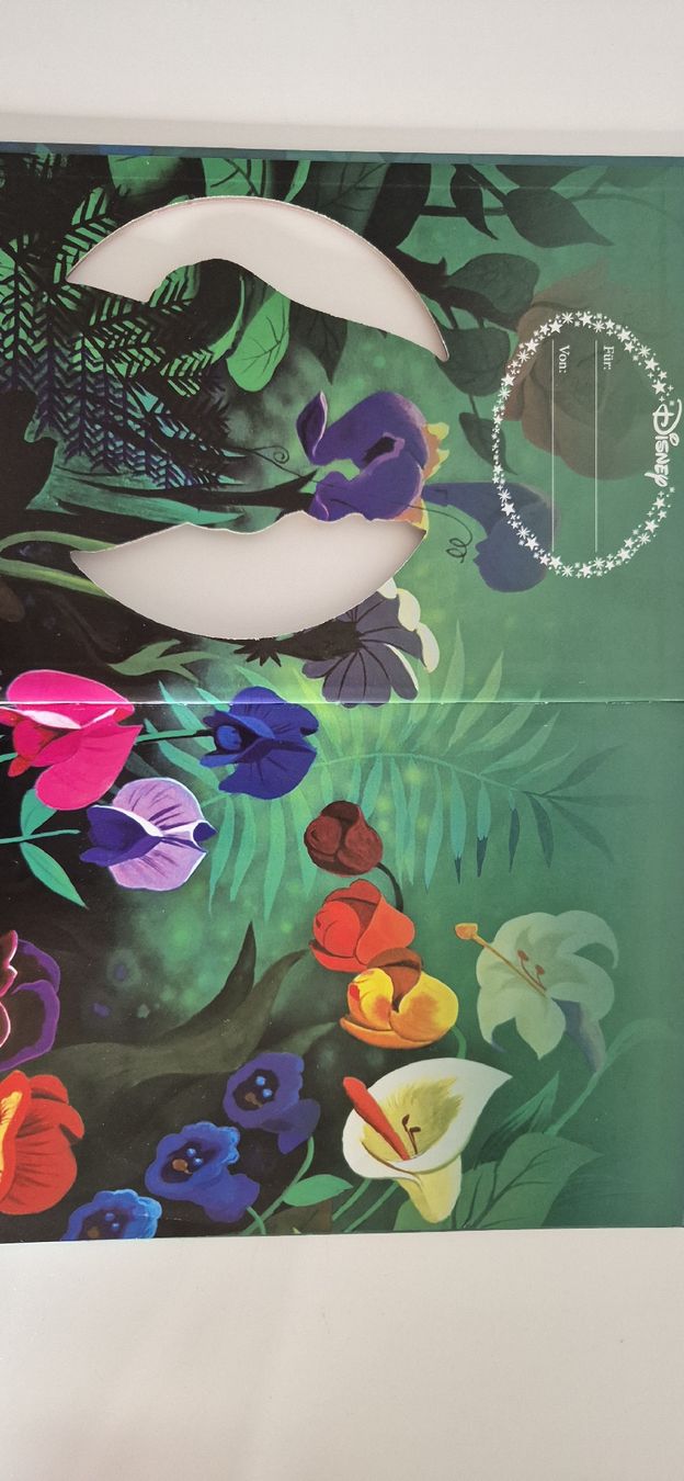 Libri: Disney Alice im Wunderland Kinderbuch  – Usato da Oberwil b. Zug venduto da Enie93 1