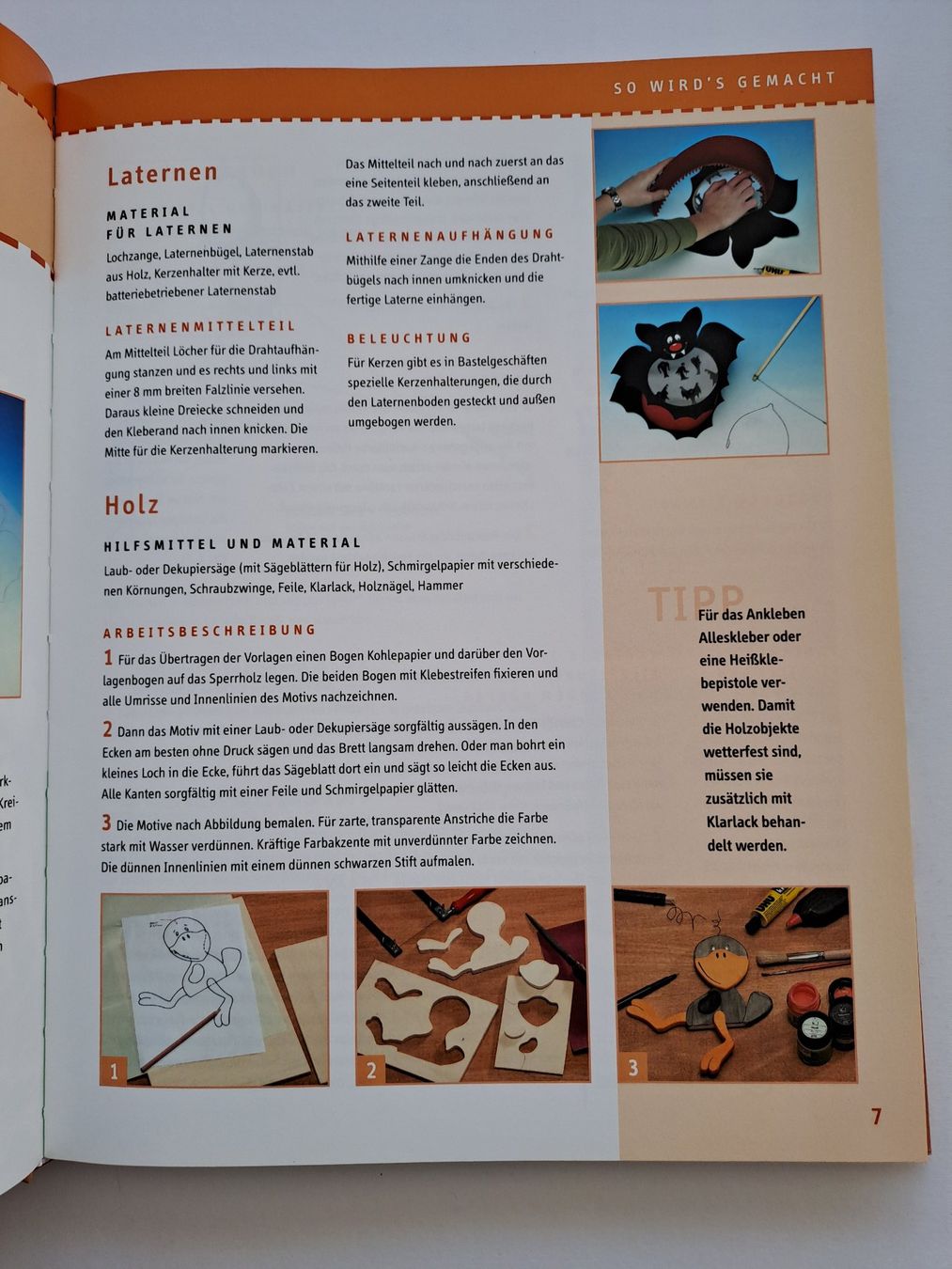 Libri: Baselbuch Die 101 schönsten Herbstideen Topp Verlag – Usato da Glashütten venduto da Schwebefisch 2