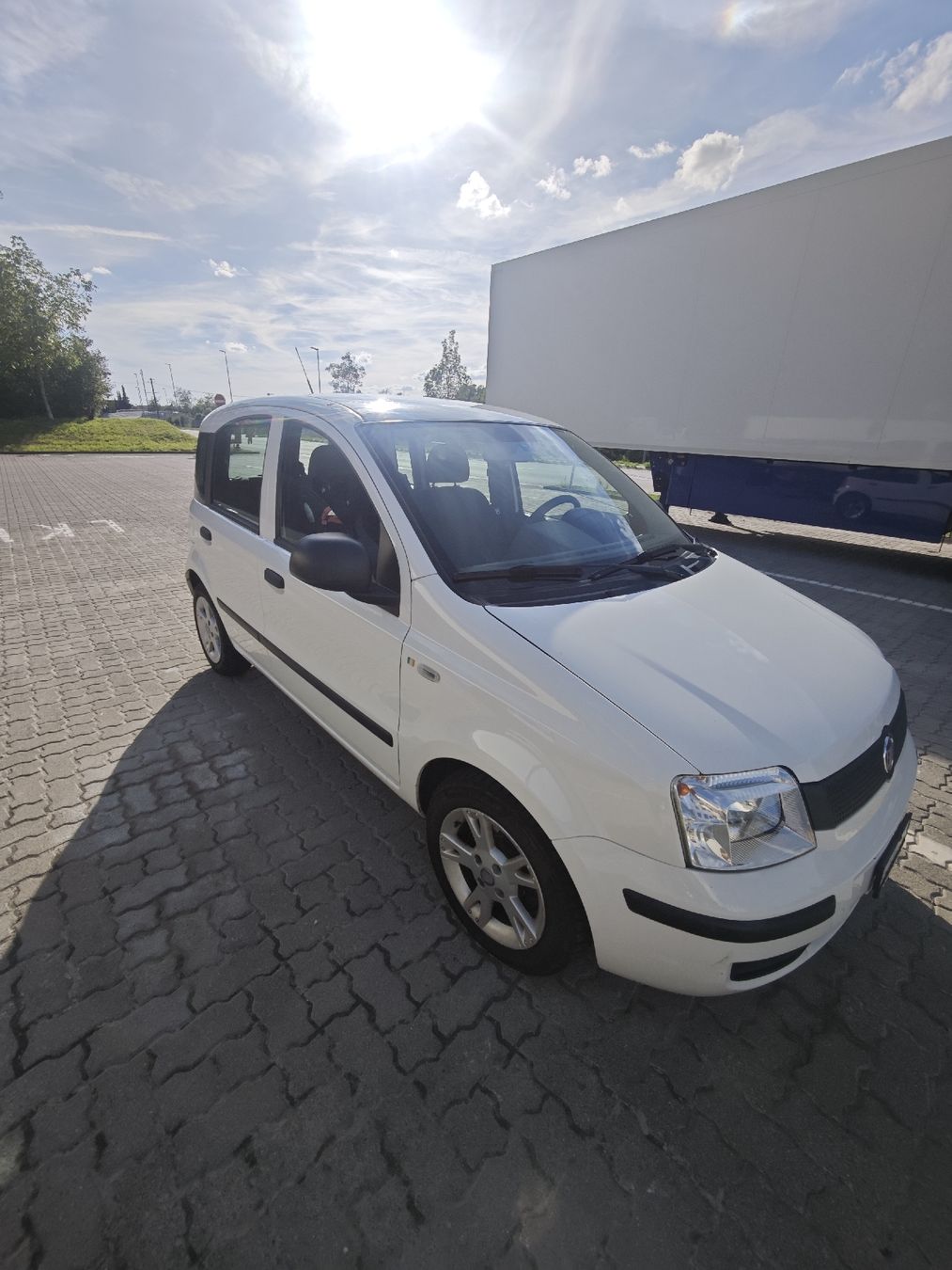 Fiat Automobili: Fiat Panda 1.2 – Usato da Busswil BE venduto da pasquale80