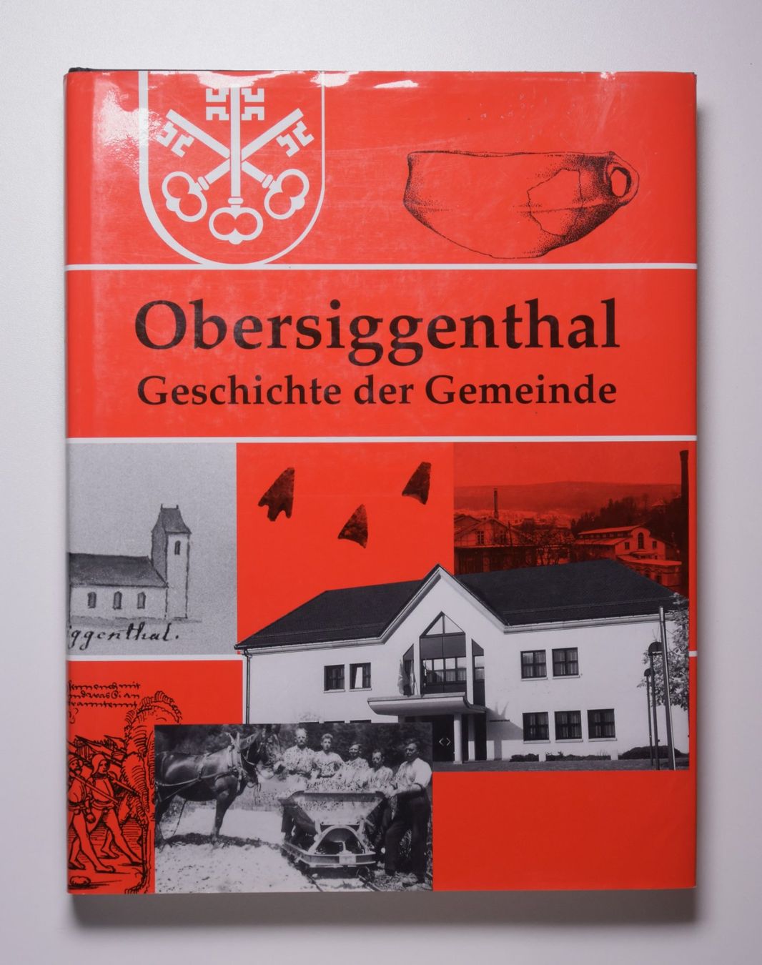 Libri: Obersiggenthal. Geschichte der Gemeinde. – Usato da Erschwil venduto da taglang