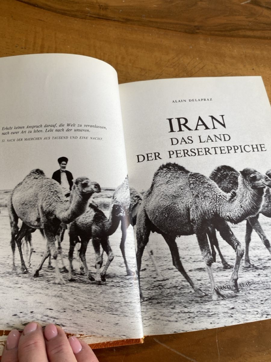 Libri: Iran, Das Land der Perserteppiche - 1974 – Usato da Dübendorf venduto da Montclair 1