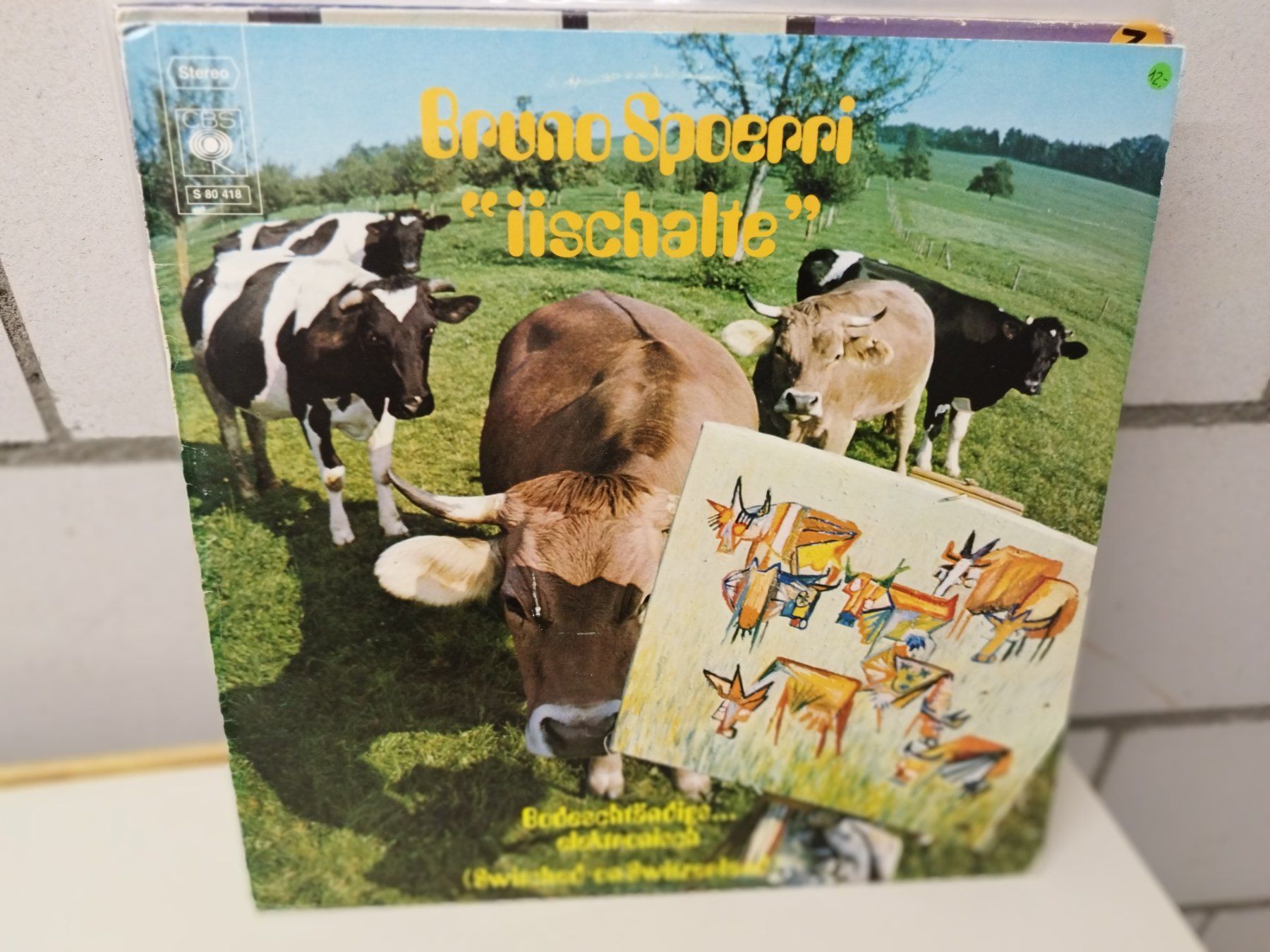 Dischi in vinile: LP. Ab Fr 1.--  siehe Foto – Usato da Lupfig venduto da fred-feuerstein