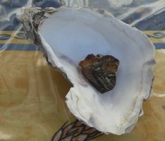 Pendentif en ambre, neuf