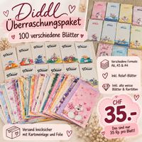 Diddl Überraschungs 100 Blätter-Set blockfrisch