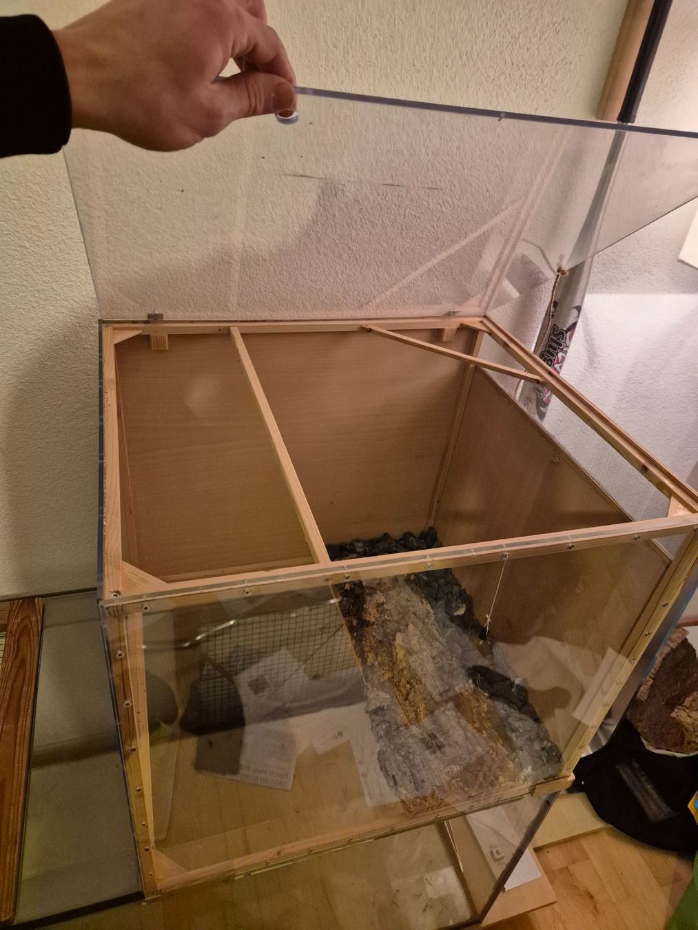 Terrarium: Terrarium – Gebraucht aus Winterberg ZH von kil_f6ds 1