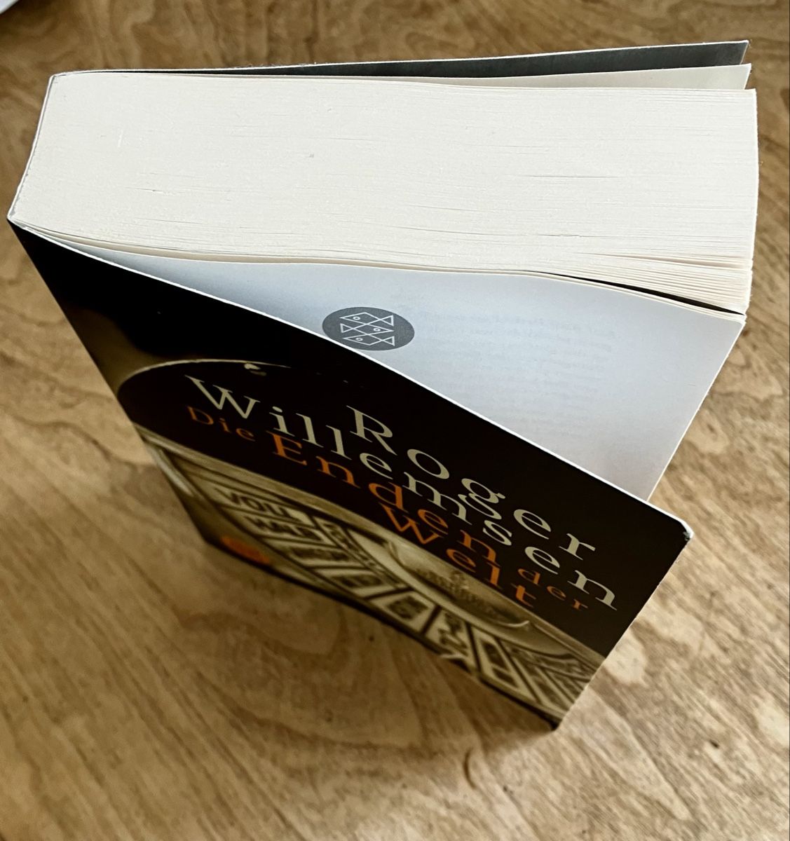 Libri: Die Enden der Welt-Roger Willemsen – Nuovo (secondo la descrizione) da Buchs AG venduto da Allerleis 2