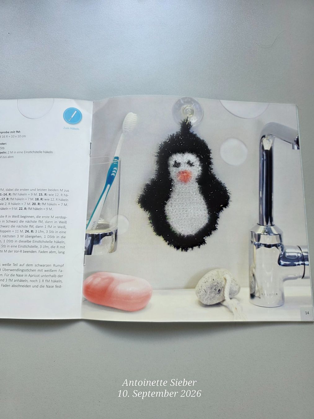 Libri: Lustiges Schrubben mit selbstgesticktem... – Nuovo (secondo la descrizione) da Salez venduto da Bellas-Huesli10 2