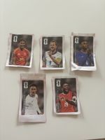 Panini Wm 2026 Cola Stickers 🔥