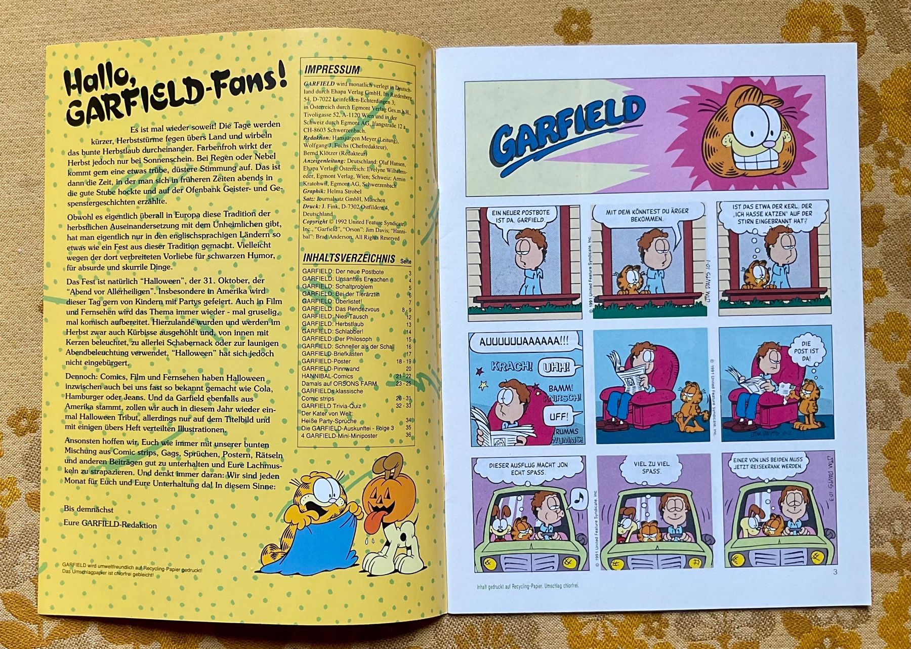 Fumetti: Garfield Heft Nr 10 von 1992 – Usato da Endingen venduto da nathan05 1
