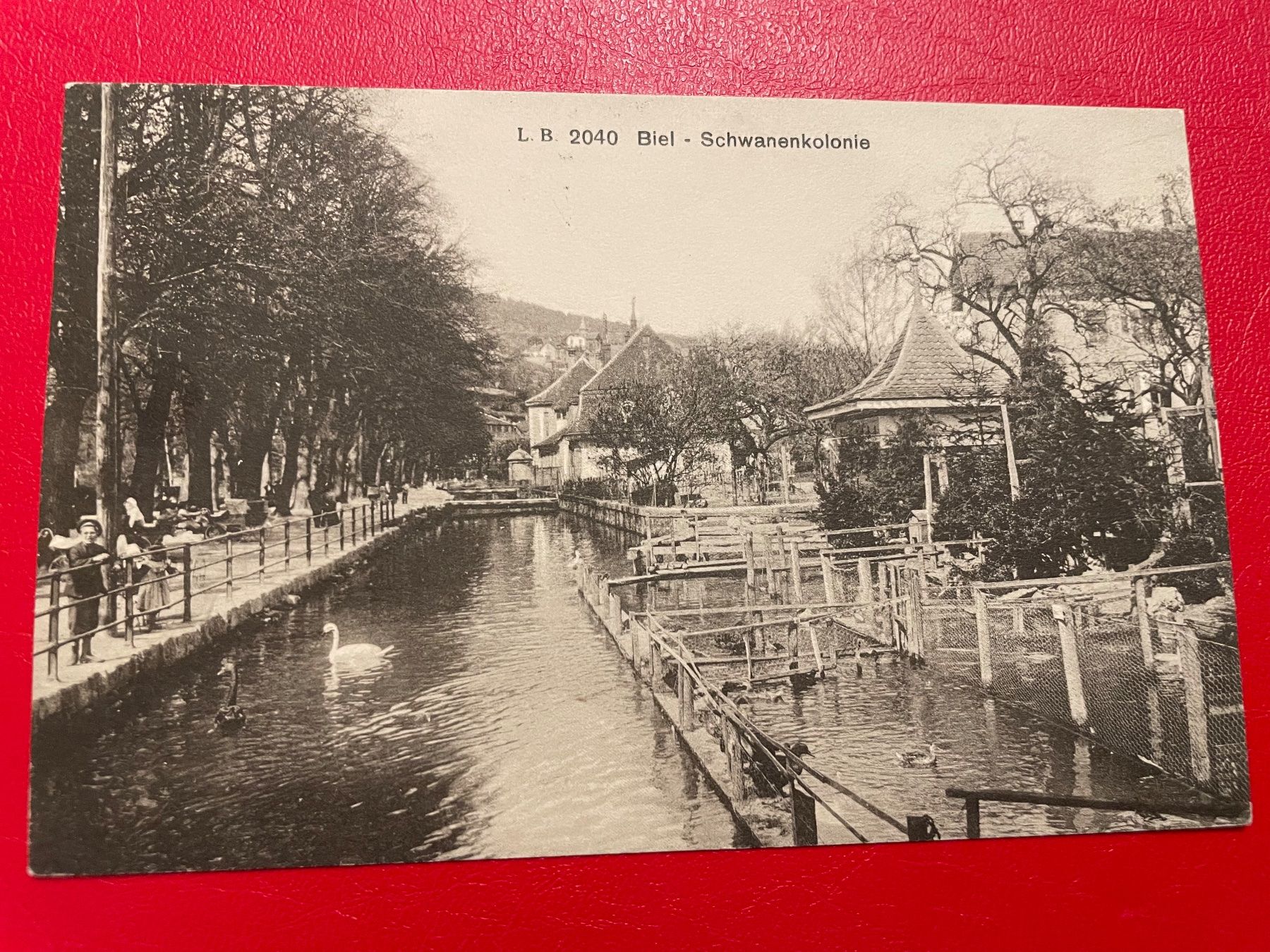 Ansichtskarten: 1916 // Biel - Schwanenkolonie – Gebraucht aus St-Légier-La Chiésaz von Theo005