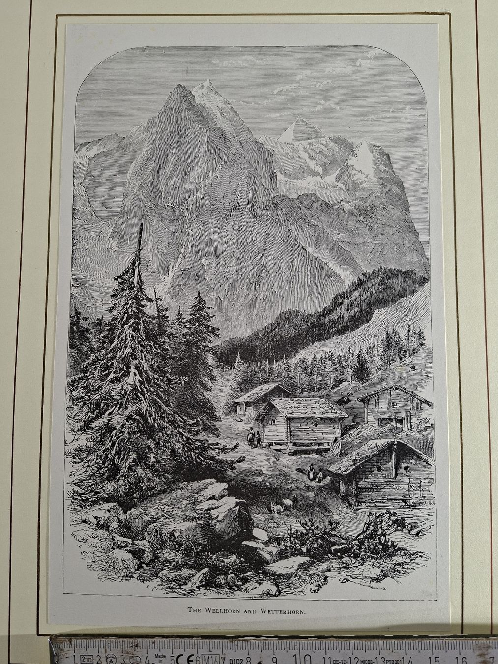 Incisioni: Lot 23, 5 Stiche – Usato da Grindelwald venduto da carro5 5