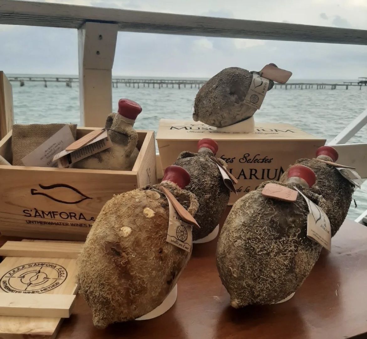 Vino: Vin DO Priorat en amphore 🏺 – Nuovo e nell'imballaggio originale da St-Prex venduto da mar_f6t6 3