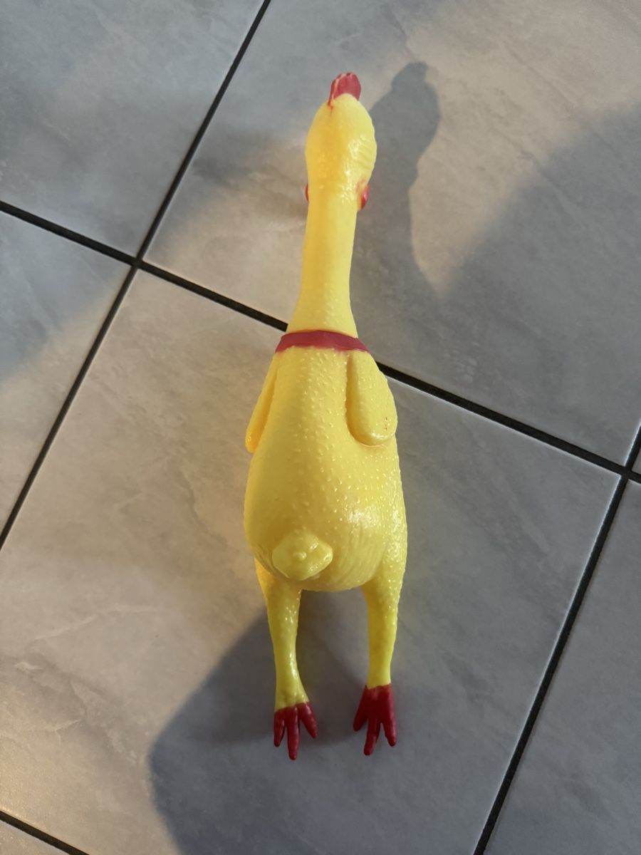 Giocattoli: Quietsch Huhn – Usato da Hergiswil NW venduto da kaufe_bei_kaufmann 1