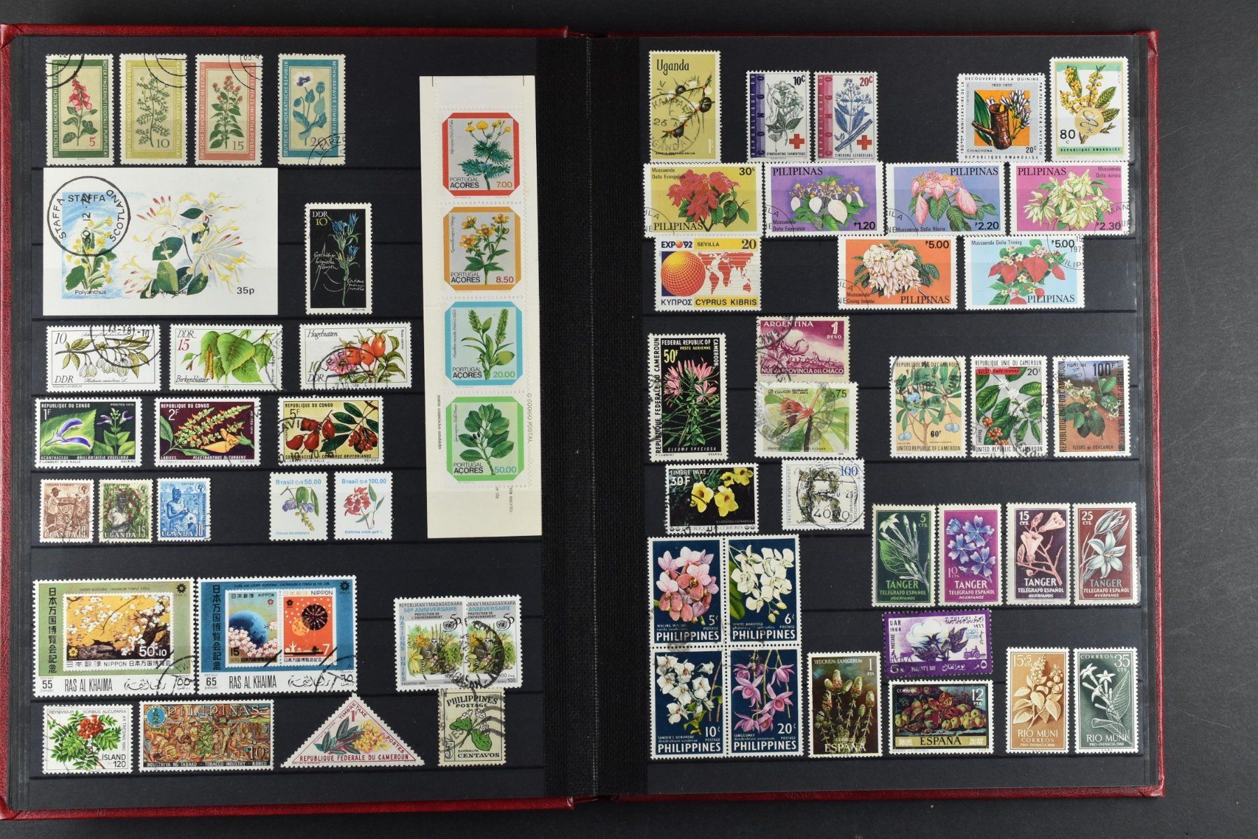 Tutti i francobolli: SAMMLUNG, BLUMEN, 2 EINSTECK-ALBEN, 900+ MARKEN – Usato da Wetzikon ZH venduto da Philimpex 3