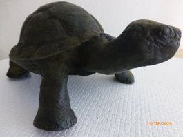 Alte naturgetreue Schildkröte aus Bronze.