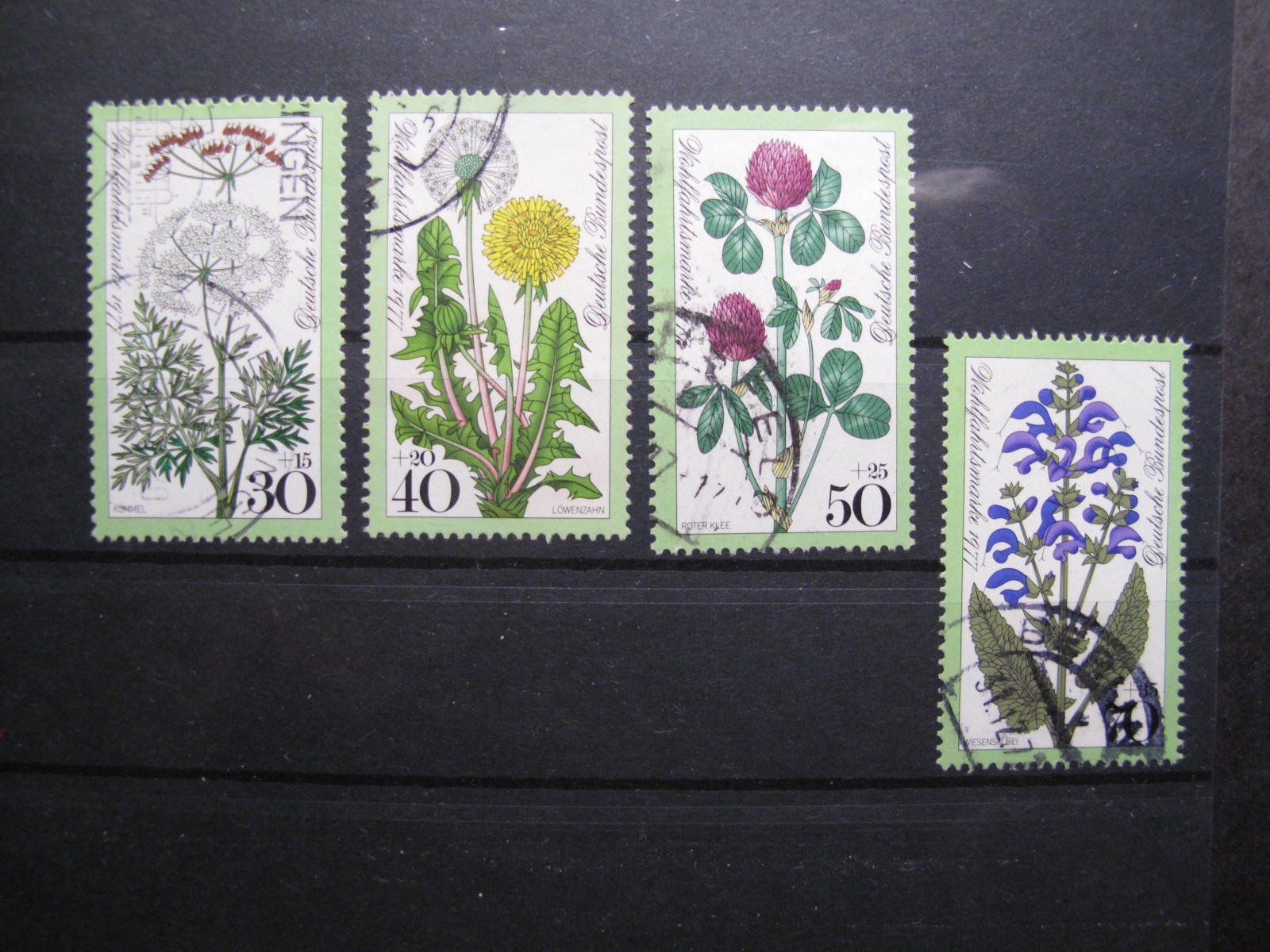 Tutti i francobolli: BRD 1977 Wiesenblumen gest – Usato da Wil SG venduto da fva01
