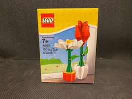 LEGO 40187 Blumen-Set, brandneu, ungeöffnete Packung!