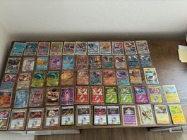 Pokemon Holo Sammlung (Near Mint)
