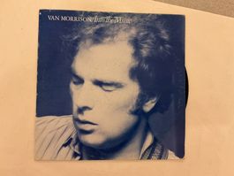 Van Morrison LP - Into the Music