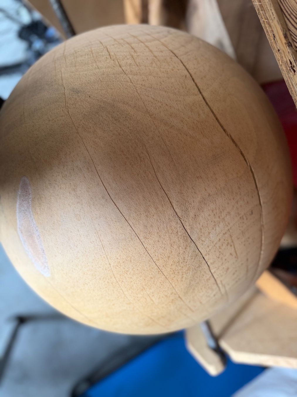 Articoli in legno: Holzkugel Esche; 50cm; roh, – Nuovo (secondo la descrizione) da Wildberg venduto da Melramos04 8