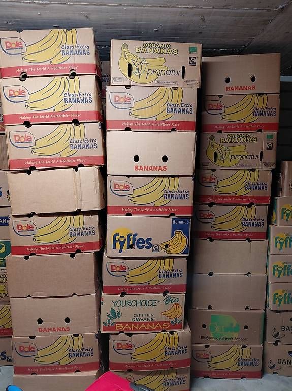 Cartoni: 73 Bananenschachteln – Usato da Dietikon venduto da Chadascha