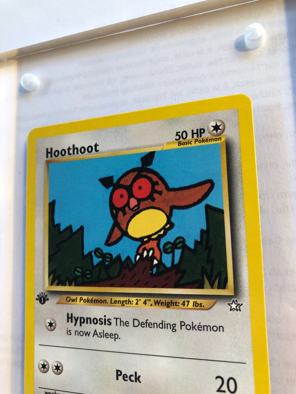Sammelbilder & Trading cards: Hoothoot 1st Neo Genesis - MINT - ab 1.- – Gebraucht aus Giubiasco von dan_pr8b 3