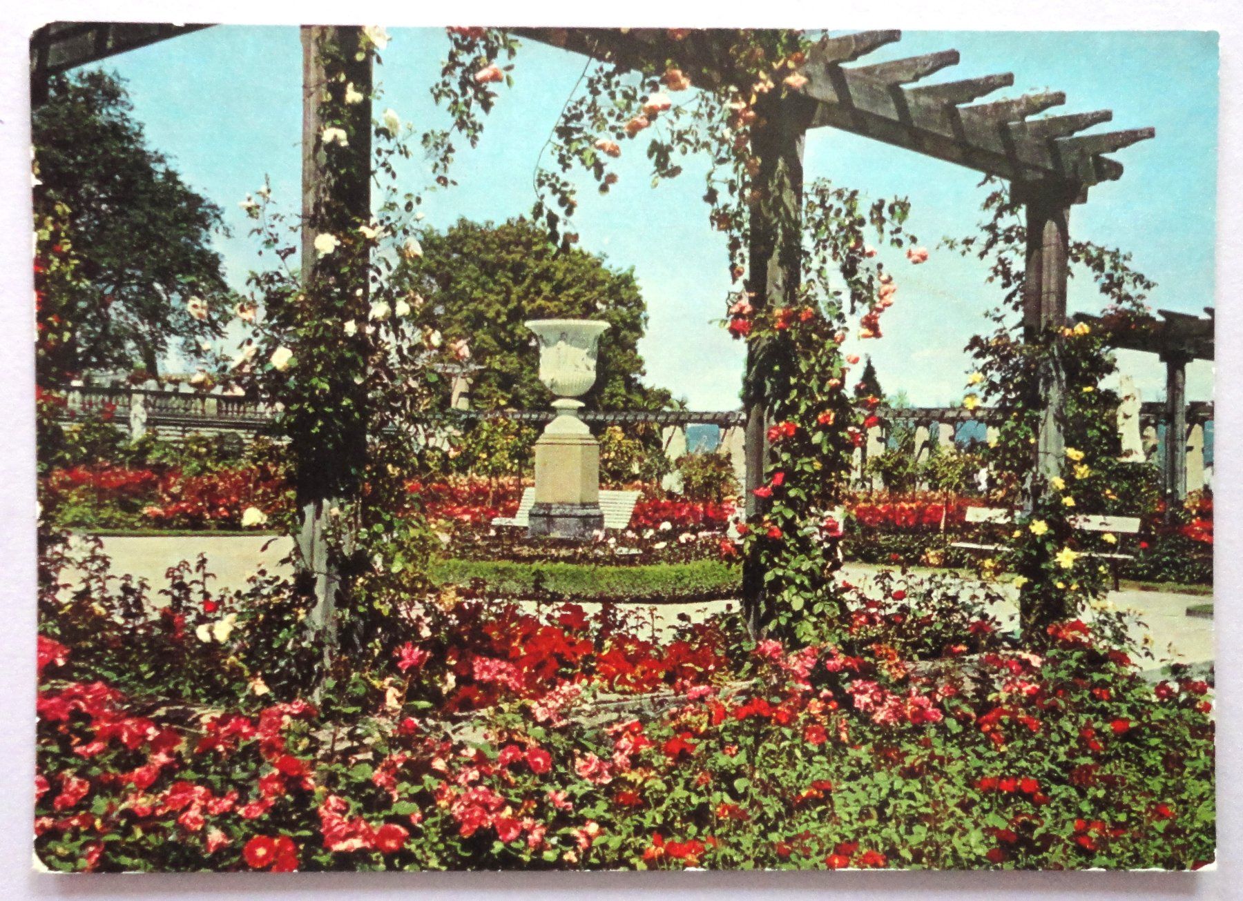Cartoline postali: Insel Mainau im Bodensee, Rosengarten – Difettoso da Fétigny venduto da Billy2miny