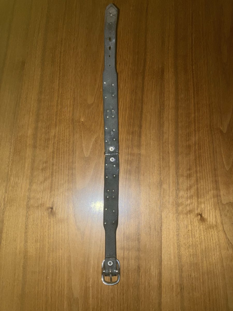 Nastri decorativi: Appenzeller Hundehalsband – Usato da Neftenbach venduto da 889095 5