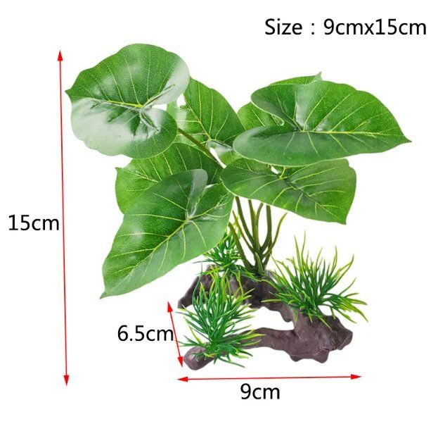 Aquarium: Ensemble de plante aquarium - 15cm x 9cm – Neu und originalverpackt aus Corcelles-près-Payerne von dag_7pn2