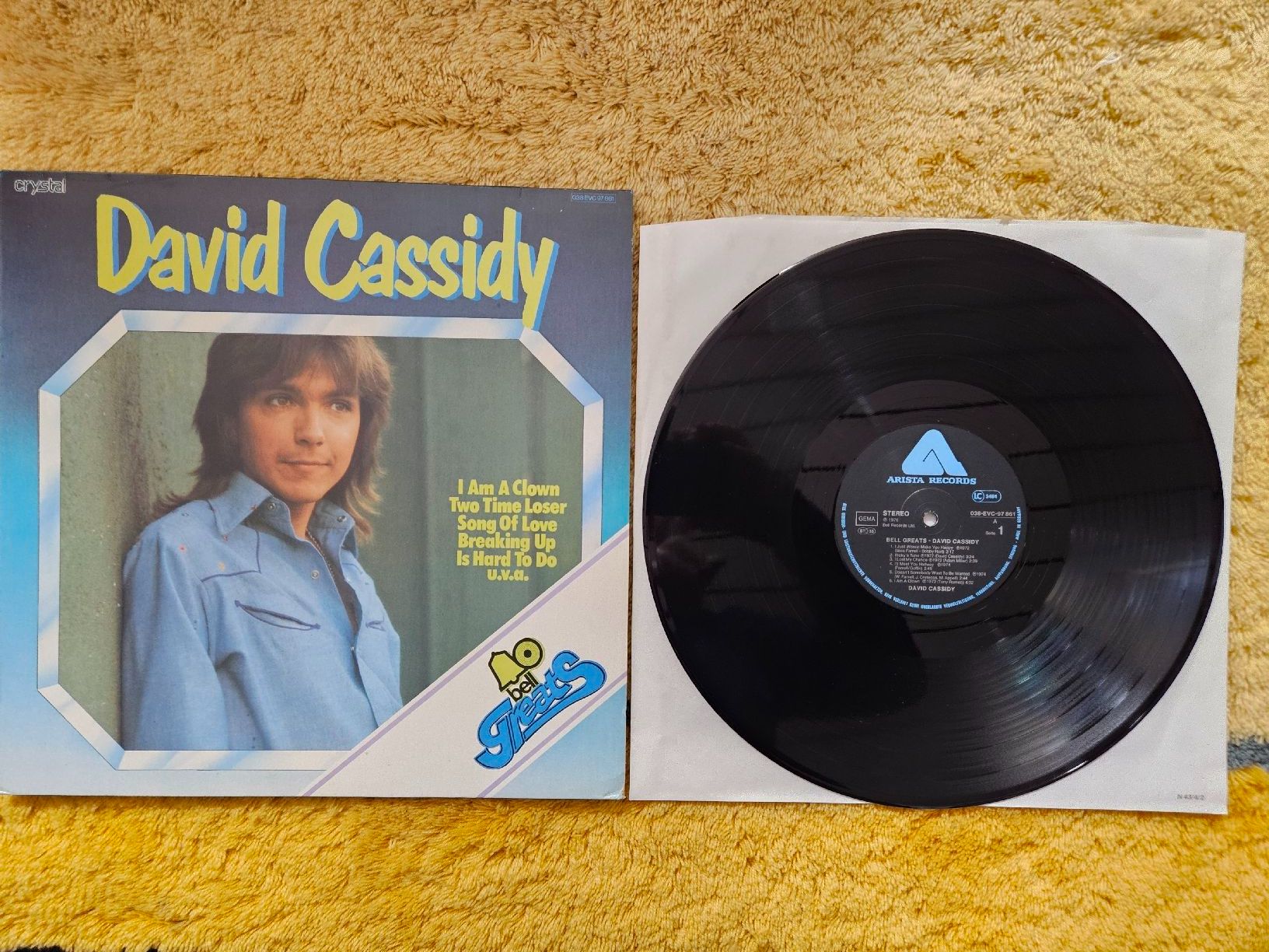 Dischi in vinile: David Cassidy Schallplatte Lp - Bell Greats – Nuovo (secondo la descrizione) da Lyss venduto da Alexine
