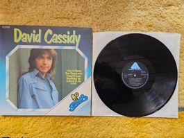 David Cassidy Schallplatte Lp - Bell Greats