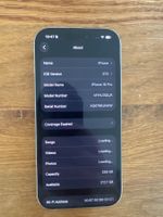 iPhone 16 Pro (Screen potenziell defekt)