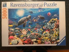 Puzzle 5000