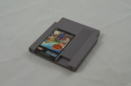 Prince Valiant NES Spiel