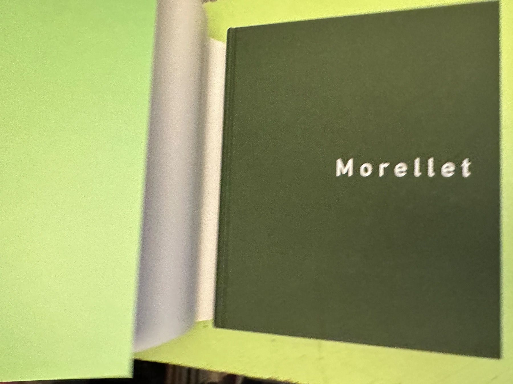 Bücher: C. Sylvia Weber: Morellet – Gebraucht aus Zürich von allp 1