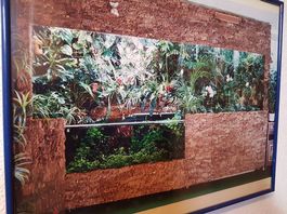 Naturkork für Terrarien, Wände, Dekoration