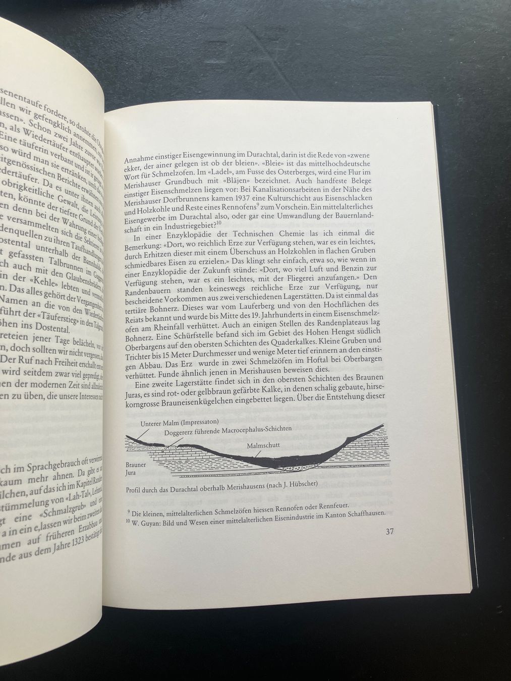 Libri: Der Randen. H. Russenberger, 1984 – Usato da Wangen ZH venduto da day01 3