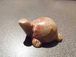 Schildkrot, beige/rot Töne