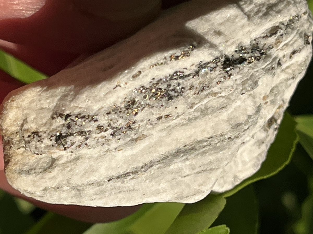 Minerali & Pietre curative: Top! Pyrit in Dolomite aus dem Binntal, VS – Usato da Uster venduto da Arrayo