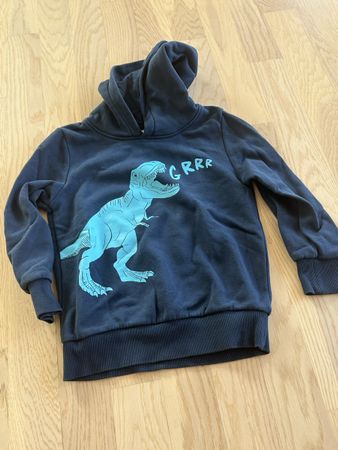 Kapuzenpullover Palomino Dinosaurier Grösse 122