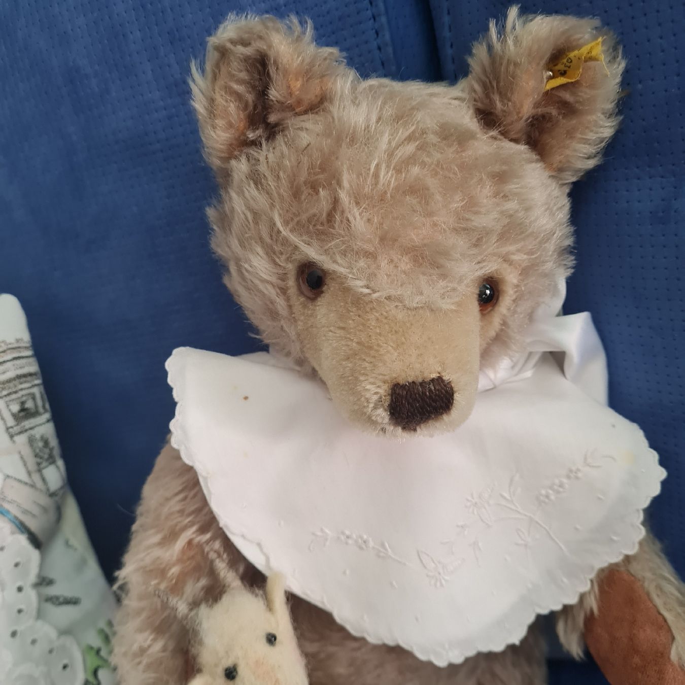 Steiff Giocattoli: STEIFF TEDDY BÄR mit dem kleinen Silberknopf ca.35cm – Usato da Siebnen venduto da annigannig 7